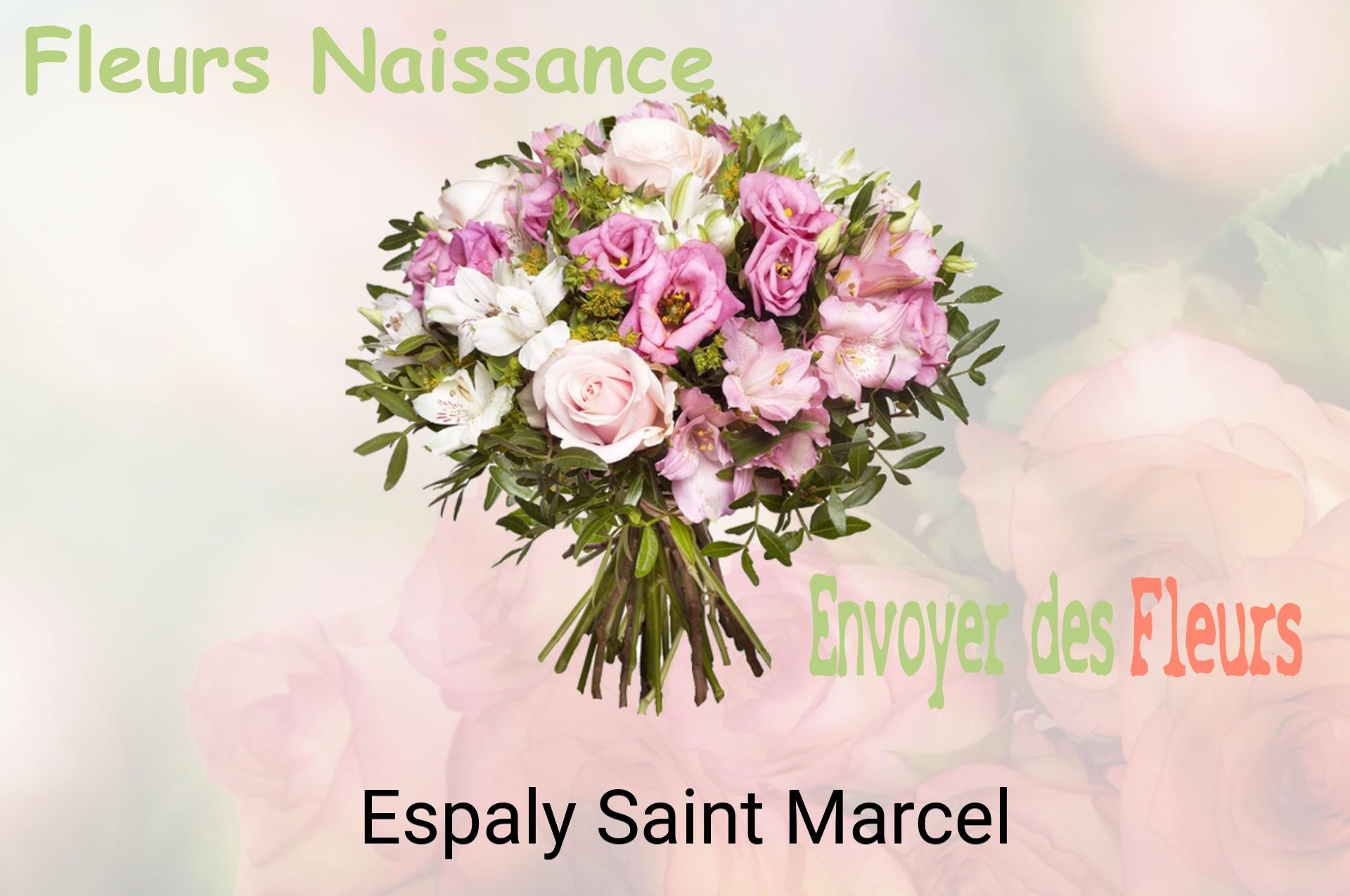 Bouquet de fleurs de naissance livré à Espaly-Saint-Marcel